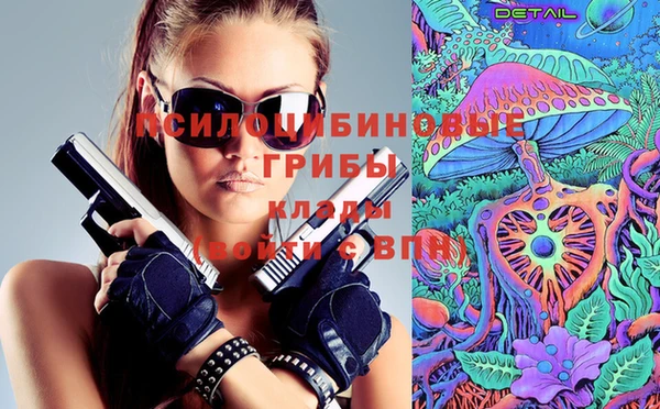стафф Верея