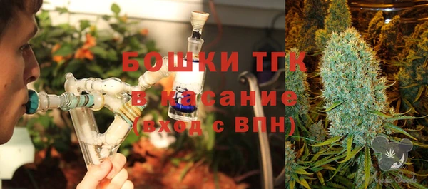 ПСИЛОЦИБИНОВЫЕ ГРИБЫ Верхнеуральск