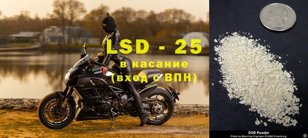 ПСИЛОЦИБИНОВЫЕ ГРИБЫ Верхнеуральск