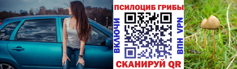 Купить закладки  Минусинск  Псилоцибиновые грибы прущие грибы 